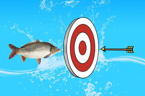 網購魚餌和釣具的4點心得 從漁具銷售角度挑選靠譜裝備